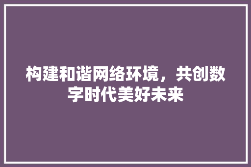 构建和谐网络环境，共创数字时代美好未来