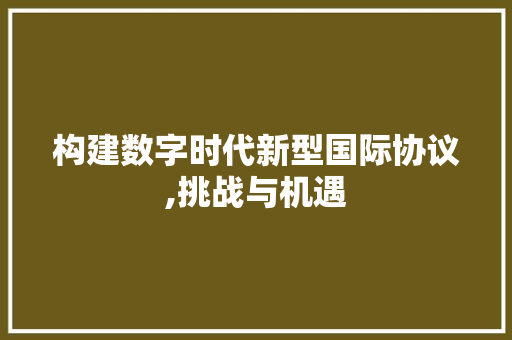 构建数字时代新型国际协议,挑战与机遇 Java