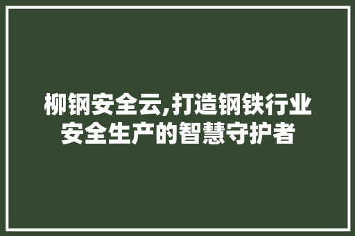 柳钢安全云,打造钢铁行业安全生产的智慧守护者