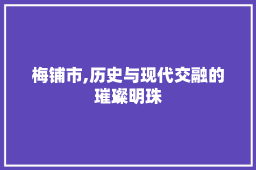 梅铺市,历史与现代交融的璀璨明珠