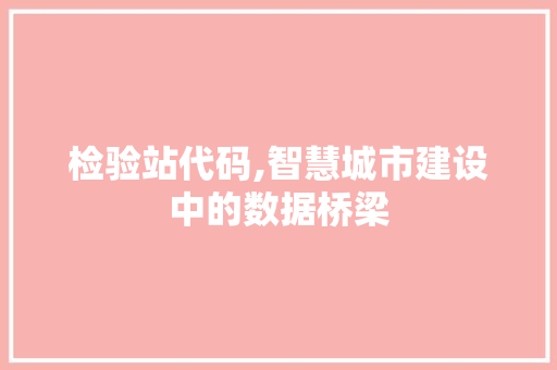 检验站代码,智慧城市建设中的数据桥梁