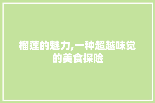 榴莲的魅力,一种超越味觉的美食探险