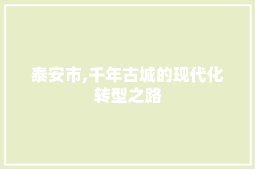 泰安市,千年古城的现代化转型之路