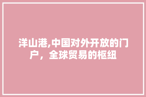 洋山港,中国对外开放的门户，全球贸易的枢纽