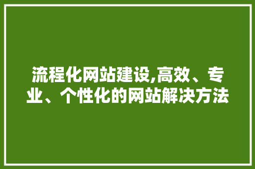 流程化网站建设,高效、专业、个性化的网站解决方法