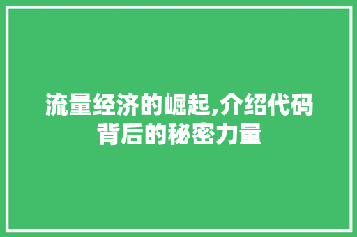 流量经济的崛起,介绍代码背后的秘密力量