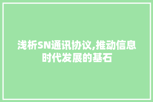 浅析SN通讯协议,推动信息时代发展的基石 Java