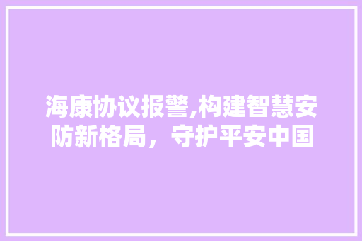 海康协议报警,构建智慧安防新格局，守护平安中国