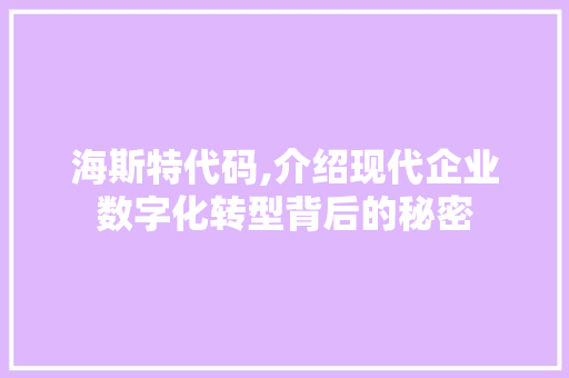 海斯特代码,介绍现代企业数字化转型背后的秘密