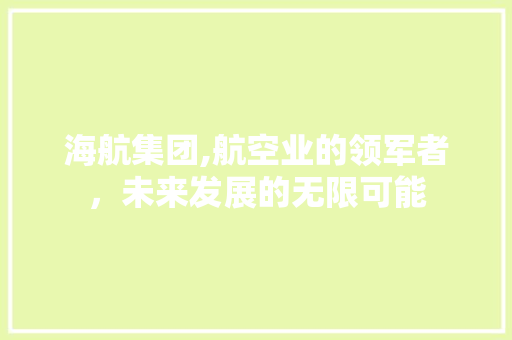 海航集团,航空业的领军者，未来发展的无限可能