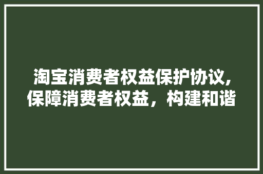 淘宝消费者权益保护协议,保障消费者权益，构建和谐网购环境