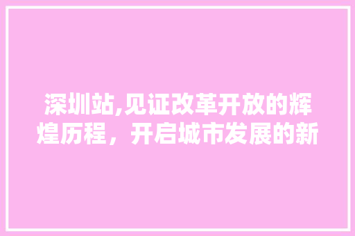 深圳站,见证改革开放的辉煌历程，开启城市发展的新篇章