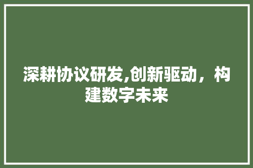 深耕协议研发,创新驱动，构建数字未来