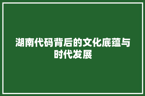 湖南代码背后的文化底蕴与时代发展