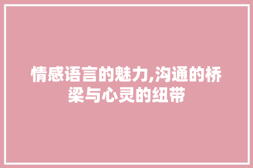 情感语言的魅力,沟通的桥梁与心灵的纽带