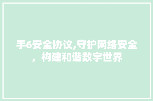 手6安全协议,守护网络安全，构建和谐数字世界