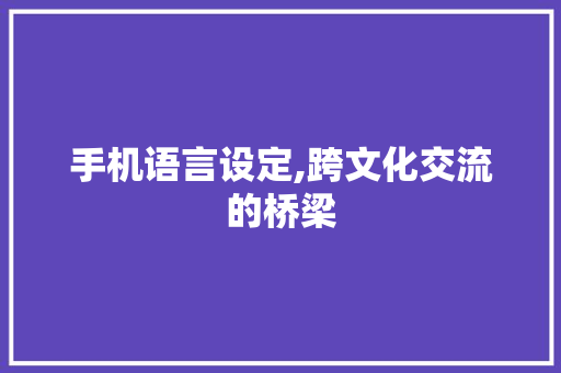 手机语言设定,跨文化交流的桥梁 Vue.js