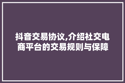 抖音交易协议,介绍社交电商平台的交易规则与保障