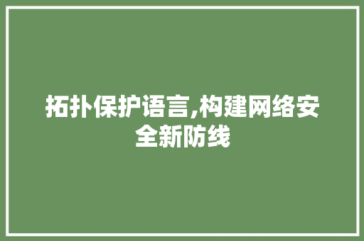 拓扑保护语言,构建网络安全新防线 Java