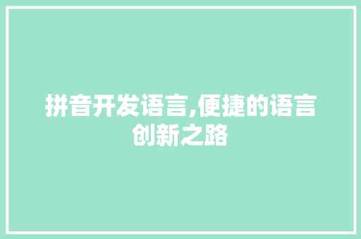 拼音开发语言,便捷的语言创新之路