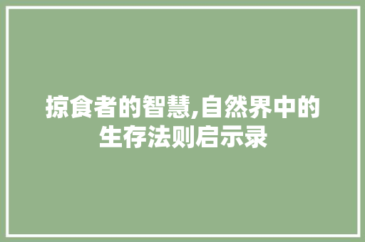 掠食者的智慧,自然界中的生存法则启示录