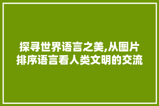 探寻世界语言之美,从图片排序语言看人类文明的交流与融合