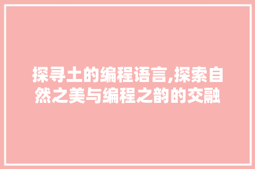 探寻土的编程语言,探索自然之美与编程之韵的交融