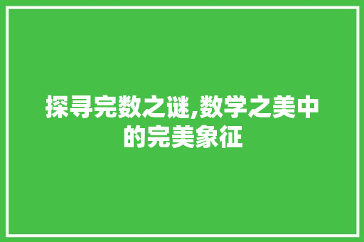 探寻完数之谜,数学之美中的完美象征