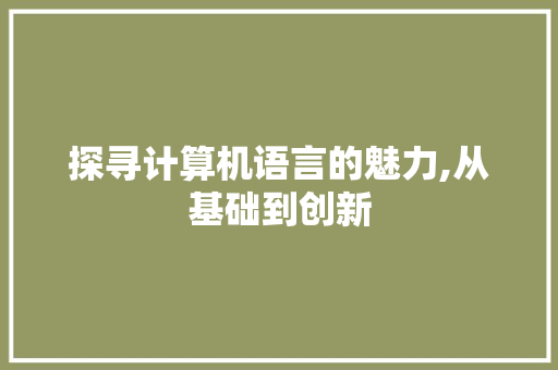 探寻计算机语言的魅力,从基础到创新