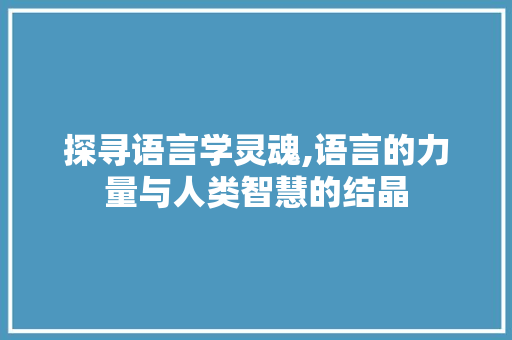 探寻语言学灵魂,语言的力量与人类智慧的结晶