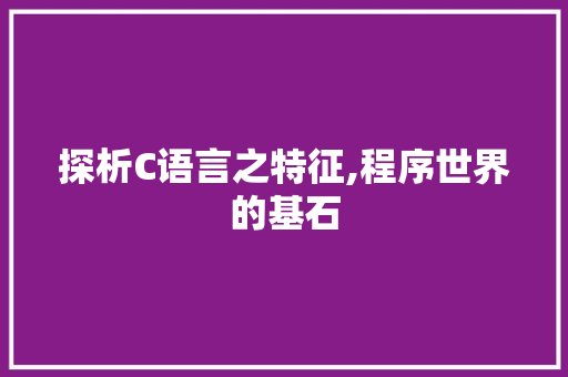 探析C语言之特征,程序世界的基石 CSS