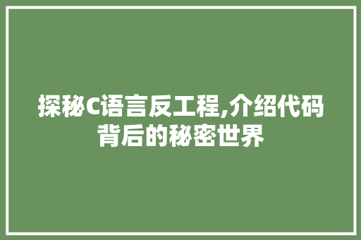 探秘C语言反工程,介绍代码背后的秘密世界