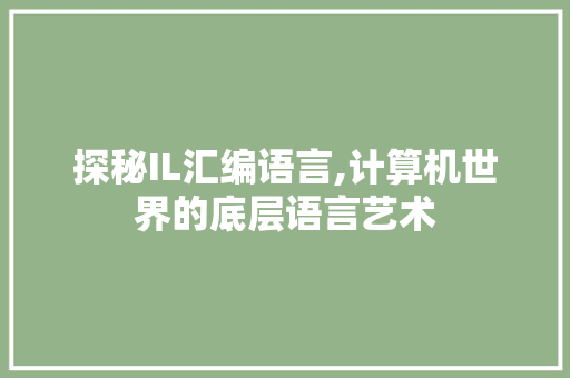 探秘IL汇编语言,计算机世界的底层语言艺术 Python