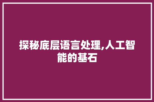 探秘底层语言处理,人工智能的基石