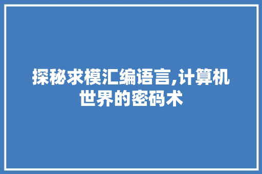 探秘求模汇编语言,计算机世界的密码术