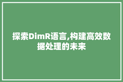 探索DimR语言,构建高效数据处理的未来