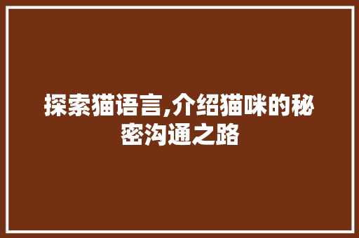 探索猫语言,介绍猫咪的秘密沟通之路