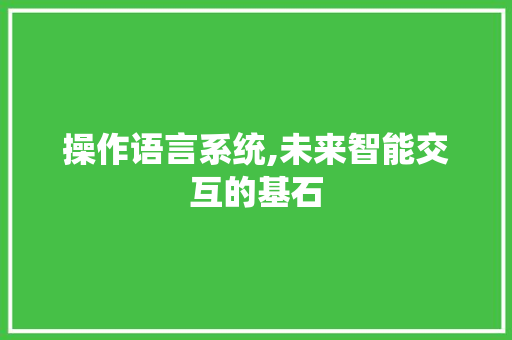 操作语言系统,未来智能交互的基石