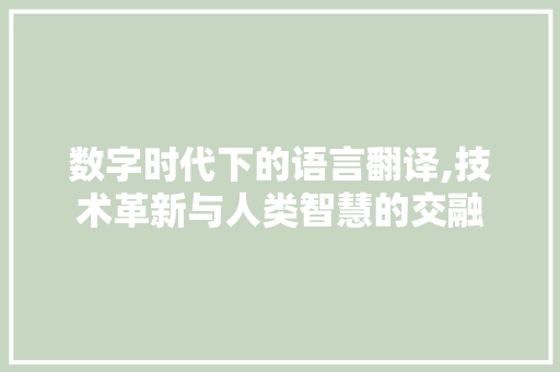 数字时代下的语言翻译,技术革新与人类智慧的交融