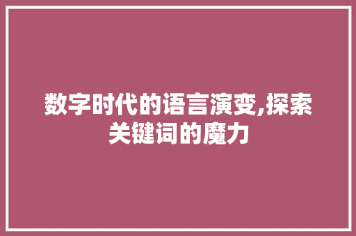 数字时代的语言演变,探索关键词的魔力