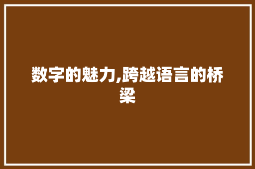 数字的魅力,跨越语言的桥梁