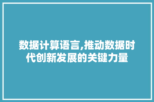 数据计算语言,推动数据时代创新发展的关键力量