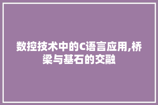 数控技术中的C语言应用,桥梁与基石的交融 React