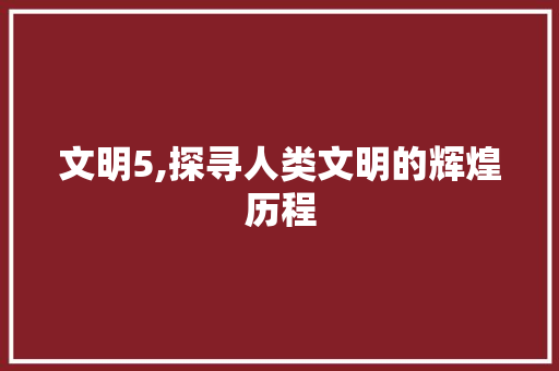 文明5,探寻人类文明的辉煌历程 SQL