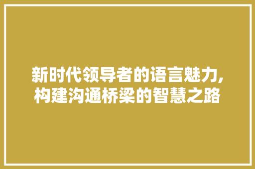 新时代领导者的语言魅力,构建沟通桥梁的智慧之路