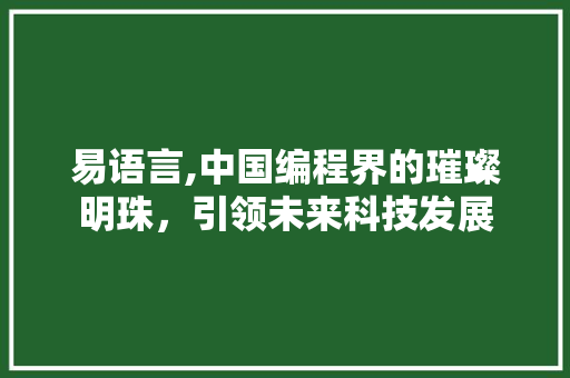 易语言,中国编程界的璀璨明珠，引领未来科技发展