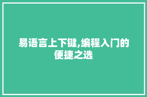 易语言上下键,编程入门的便捷之选