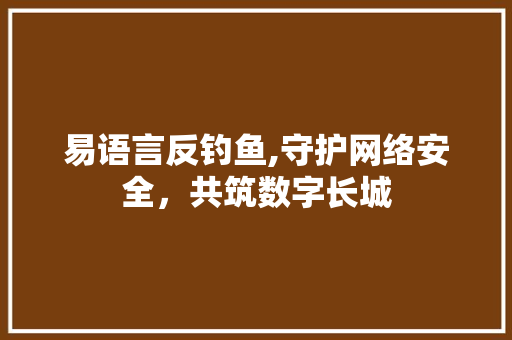 易语言反钓鱼,守护网络安全，共筑数字长城 CSS