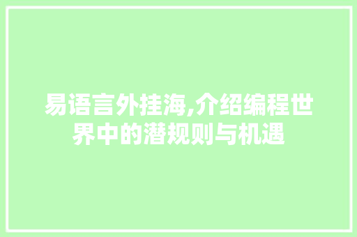 易语言外挂海,介绍编程世界中的潜规则与机遇