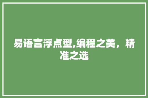 易语言浮点型,编程之美，精准之选